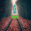 雨宗林、李雨伦 - 走过的青春