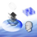 AURAGRAPH - Sans Everything