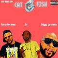 Bigg Grown、lonnie mack、Jr. - Catfish (Explicit)