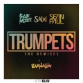 Trumpets (3Ball MTY Remix)