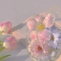 冷冷 - 不要离开我