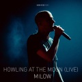 Howling At The Moon (Live In Vienna)