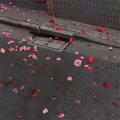 郭腾飞 - 车载DJ舞曲