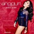 Perfect World (DJLW Radio Edit)