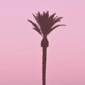 Korey Wade、Iamalex - Into You (feat. Iamalex)
