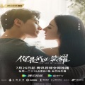 小灰羽 - 光阴独白