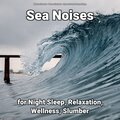 Sea Noises for Night Sleep, Relaxation, Wellness, Slumber