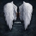 General Tony Goskolo、Rukus - If I could Fly (feat. Rukus)