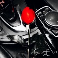 睿 - 不走