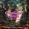 Smerf Dollaz、Tommy Gun、Lokomonkey、YoungEsco、Tmoney - GangGang B**C* (YoungPaperChaser)(feat. Smerf DollazTMoneyYoungEsco & TommyGun)