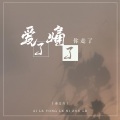 秦文音 - 爱了痛了你走了
