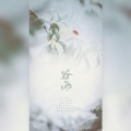 公子祸水、叶小墨 - 谷雨
