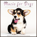 Sleepy Dogs、Pet Care Club、Dog Music - Piano Music for Pets