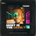 Fedoramylos - What Is The Level?
