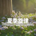 何浏阳 - 夏季旋律