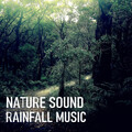 Deep Sleep Sounds、Thunderstorm Sleep、Deep Sleep Relaxation - Grating Birds