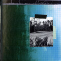 Common Sage - Fall Down