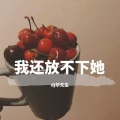 DJ华先生 - Someone You Love越鼓