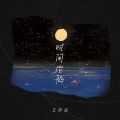 王忻辰 - 时间沦陷