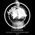 Cassimm、Richard Farrell - I'm Talking To You (feat. Richard Farrell)