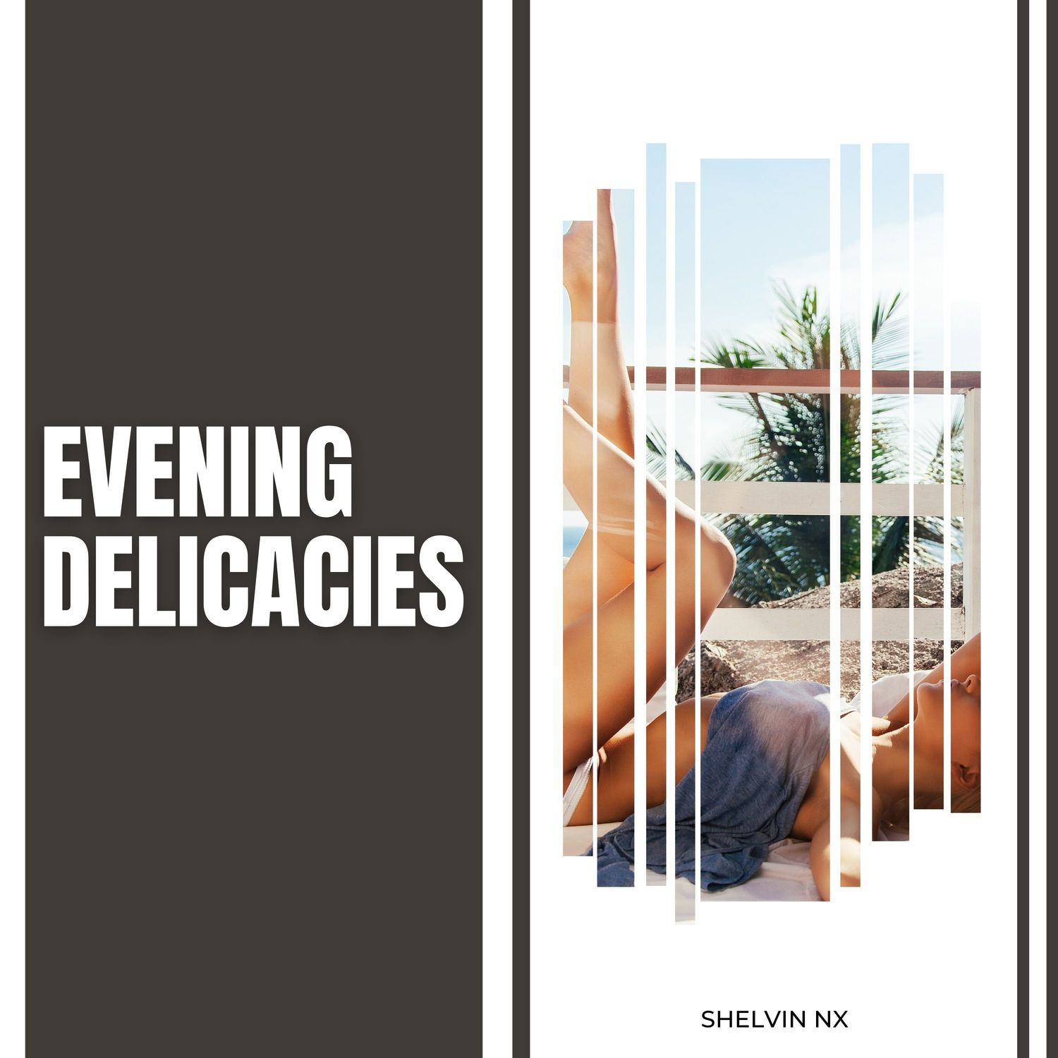 Shelvin NX - Evening Delicacies