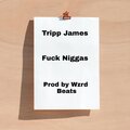 Tripp James - **** Niggas (Explicit)