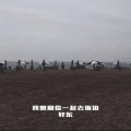 轩东 - 我想和你一起去海边