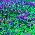 My Own (feat. Kfab) [Explicit]