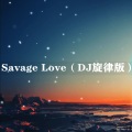 Savage Love (DJ旋律版)