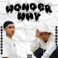 Wonder Why (feat. JoeMari)(Explicit)