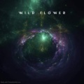 Anouk、Bktherula - Wild Flower (feat. Anouk Bktherula & Stephen)