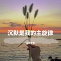 DJ华先生 - 一步三摇摆各种甩