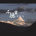烟嗓林娅 - 不挽留没回头