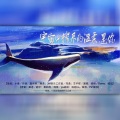 惊竹雪、绾绾w - 宇宙中榨尽的温柔，是你——2021原创生贺