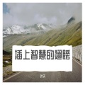 叶天 - 插上智慧的翅膀