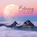 Musique Zen!、Calm Music Zone - Calm Down Vibes