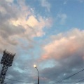 海洋哥 - 终究还是一个人扛下了所有