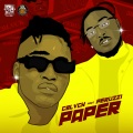 Paper (Explicit)