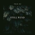 Talal Ali - Still Wind (Radio Edit)