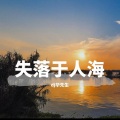 DJ华先生 - 成年人的崩溃