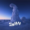 DjSunnyMega、James - Swan
