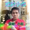 泪的小雨