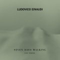 Einaudi: Fox Tracks (Day 3)