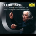 Radio-Sinfonieorchester Stuttgart、Sergiu Celibidache - Brahms: Symphony No. 1 in C Minor, Op. 68 - I. Un poco sostenuto - Allegro - Meno allegro