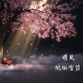 谢宇文 - 遇见