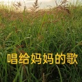 董洪涛 - 唱给妈妈的歌
