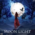 Dj Usman Bhatti - Moon Light