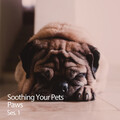 Soothing Your Pets Paws Ses. 1