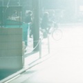 森山直太朗 - 黄金の心