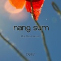 Nang sum_DNR